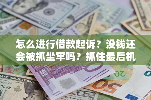 济南怎么进行借款起诉？没钱还会被抓坐牢吗？抓住最后机会！