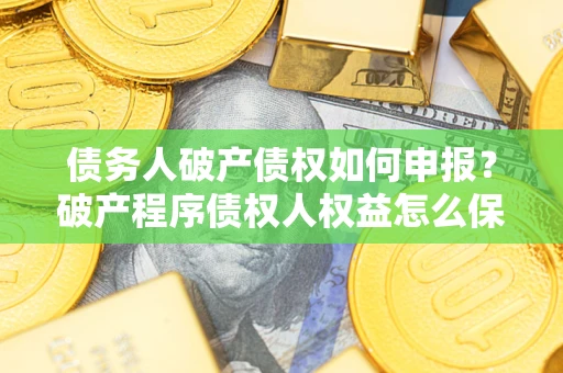 济南债务人破产债权如何申报？破产程序债权人权益怎么保障？