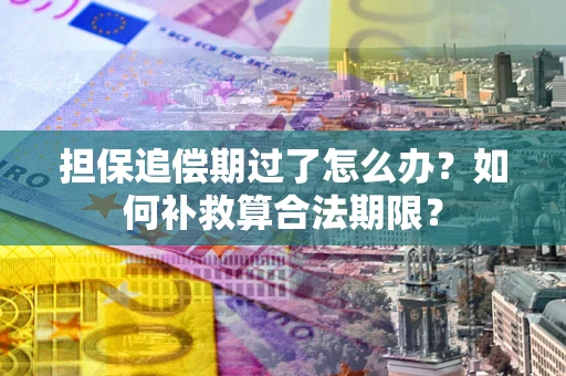 济南担保追偿期过了怎么办？如何补救算合法期限？