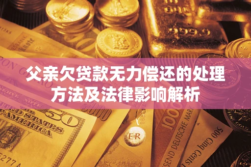 济南父亲欠贷款无力偿还的处理方法及法律影响解析